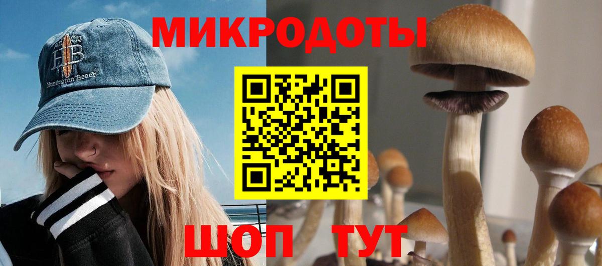 Галлюциногенные грибы мухоморы  что такое наркотик  Гусь-Хрустальный  Галлюциногенные грибы Cubensis  Вход с VPN 